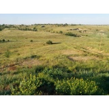 Природа - 12.jpg Природа - 12.jpg